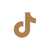 tiktok social