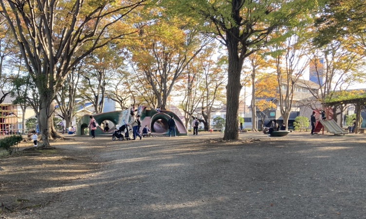 鹿沼公園 相模原市