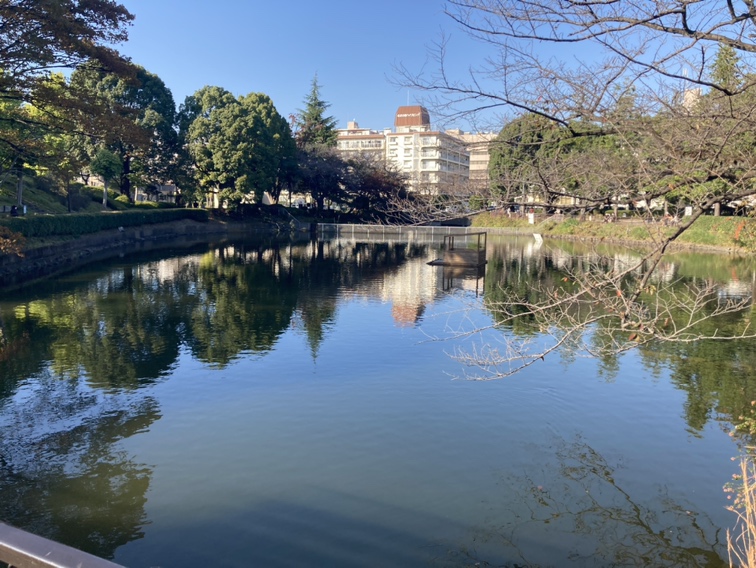 鹿沼公園 相模原市
