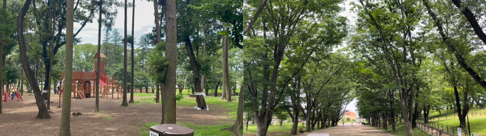 南町田グランベリーパークのお隣 鶴間公園